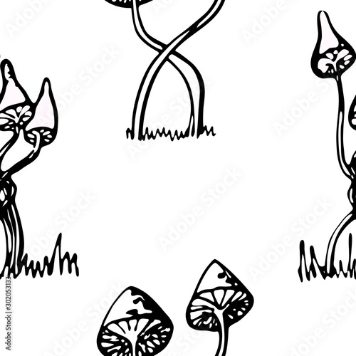 Obraz na płótnie Food vector illustration. Black and white fantasy poisonous mushrooms. Contour style. For print, design, back surface, textile, packaging, canvas. Hand drawn vector illustration. Seamless pattern/ w salonie