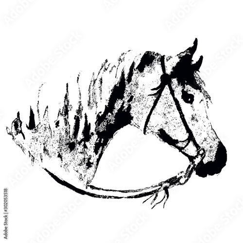 Hand drawing horse head like engraving. Horse snout silhouette with cowboy western bridle on white. Black on white background. Equestrian sport antique vintage grunge texture print vector style.