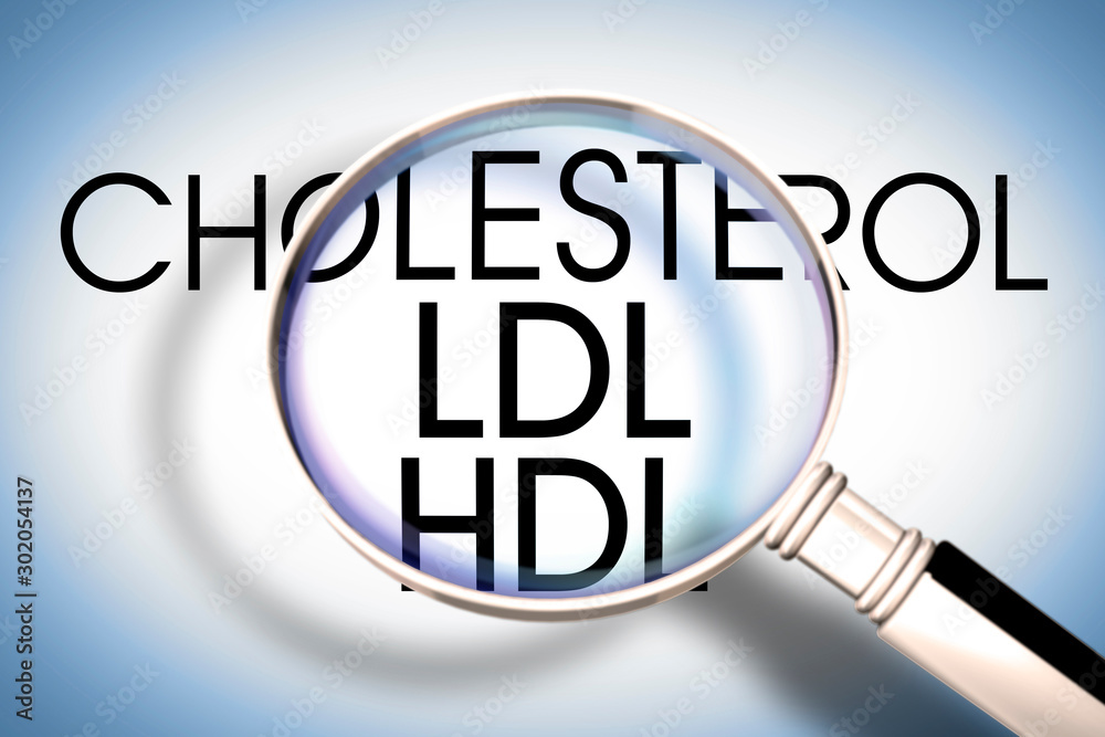 Alertness about High and Low Density Lipoprotein - HDL and LDL blood cholesterol levels concept image seen through a magnifying glass Alertness about High and Low Density Lipoprotein - HDL and LDL blood cholesterol levels concept image seen through a magnifying glass