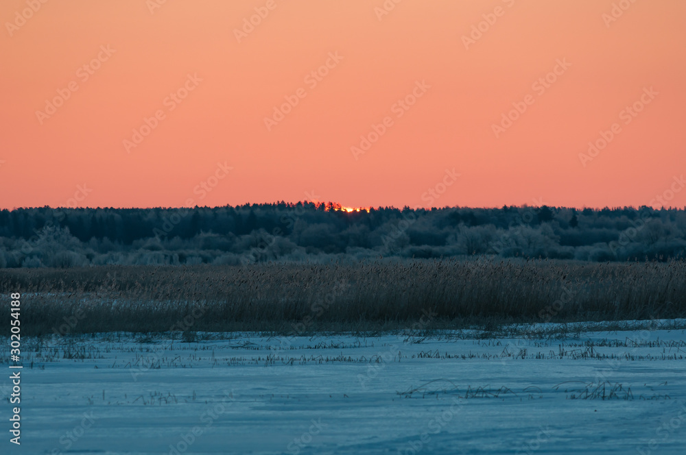 Winter sunrise behind the forest and reeds in river delta of Kokemäenjoki in Pori in Finland Winter sunrise behind the forest and reeds in river delta of Kokemäenjoki in Pori in Finland