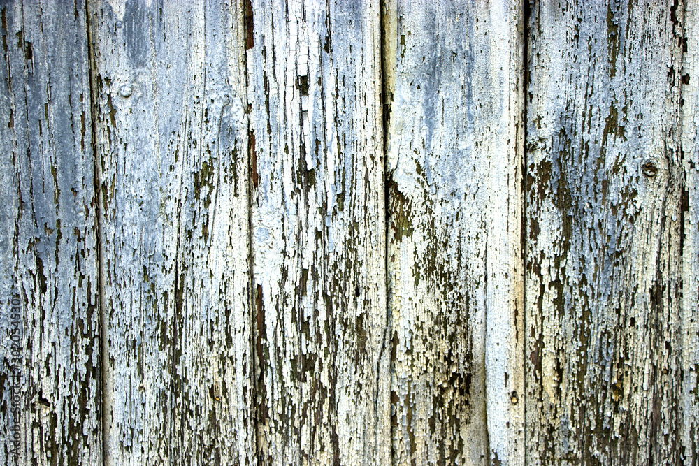 Obraz premium Old wooden boards with peeling paint. Old background. Textured planks of oak and pine. Bright colours. Natural aging of the material.