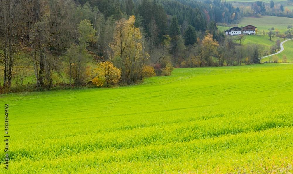 Fototapeta premium Just a field