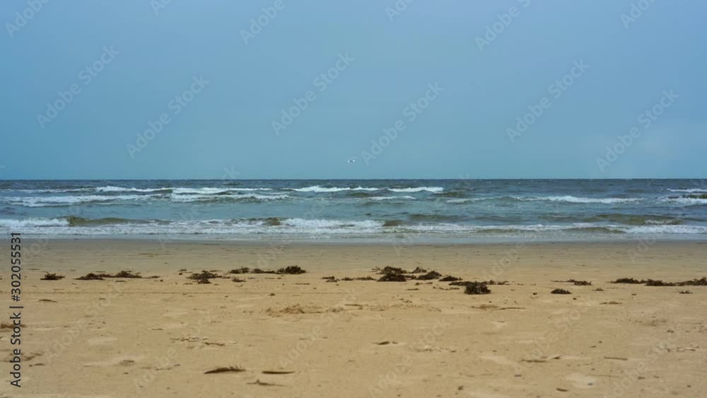 seagulls fly above wide sand beach and rolling sea waves with white thick foamy crests under blue sky slow motion seagulls fly above wide sand beach and rolling sea waves with white thick foamy crests under blue sky slow motion