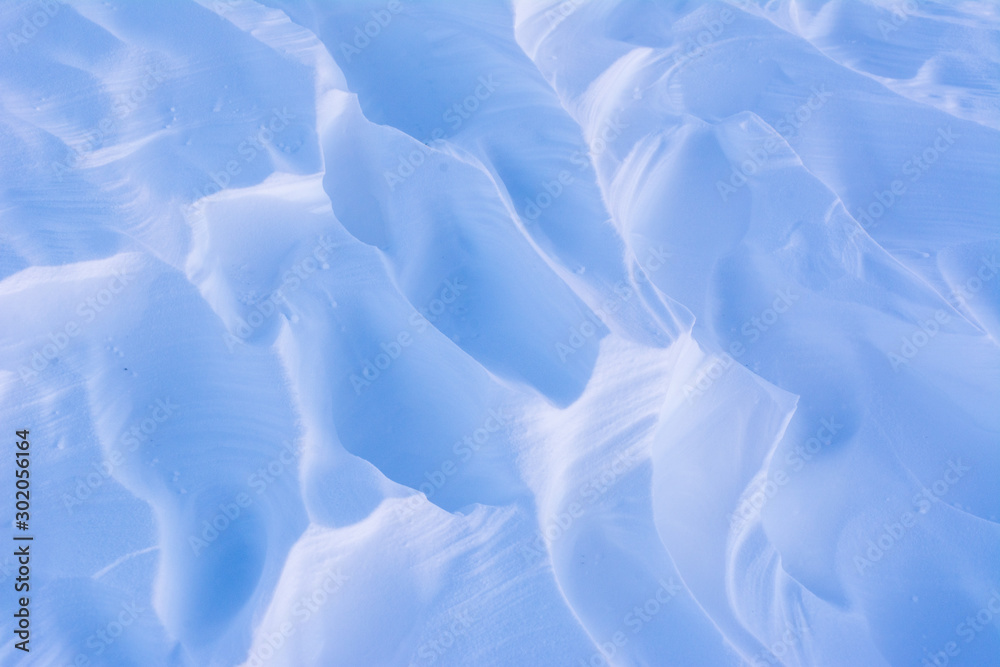 Obraz premium wind blown snow