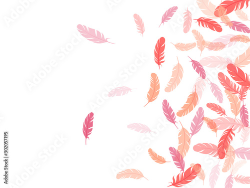 Flying feather elements airy vector design.