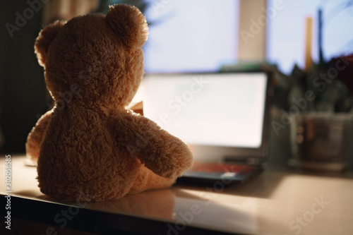 teddy bear with laptop