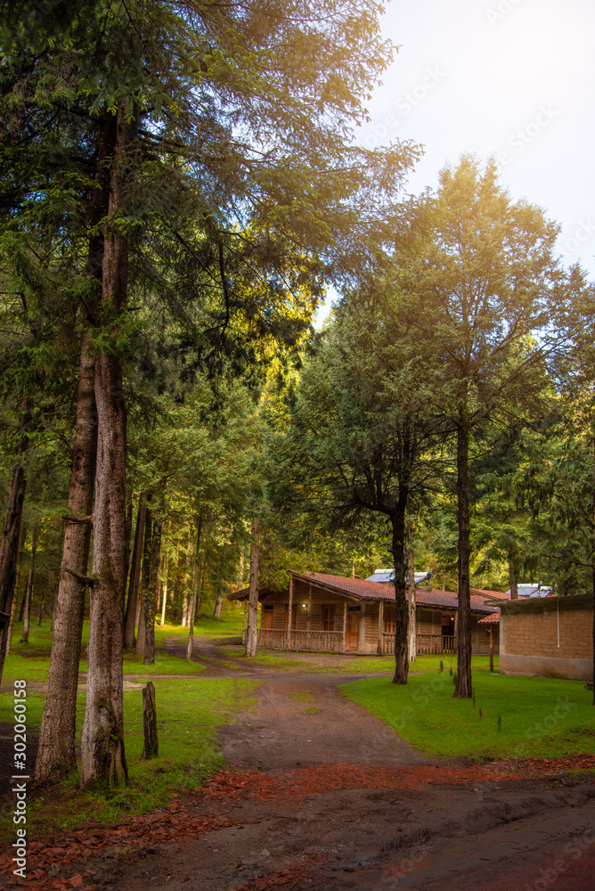 Santuario de la luciernagas en Tlaxcala Santuario de la luciernagas en Tlaxcala