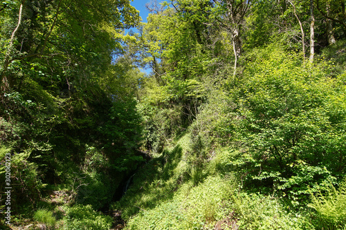 A small waterfall and park behind the Glengoyne distillery in Scotland