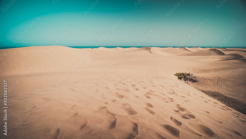 dunes Maspalomas HD