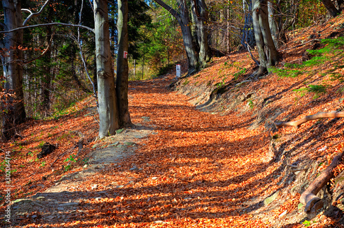 Droga w górach, barwy jesieni