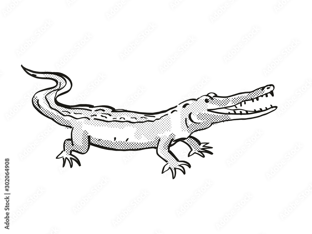 West African Slender Snouted Crocodile Endangered Wildlife Cartoon Drawing  Stock Illustration | Adobe Stock
