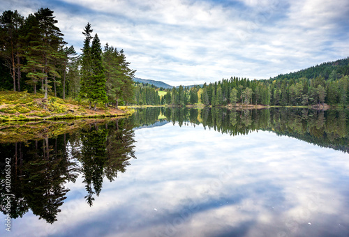 Forest reflected in the lake. Norwegian landscape.