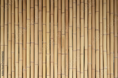 Yellow bamboo wooden fence. Background from bamboo  wood texture.