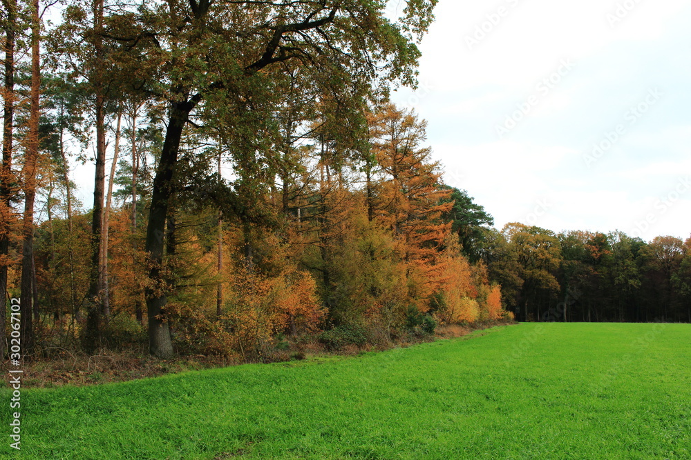 Herbstpanorama