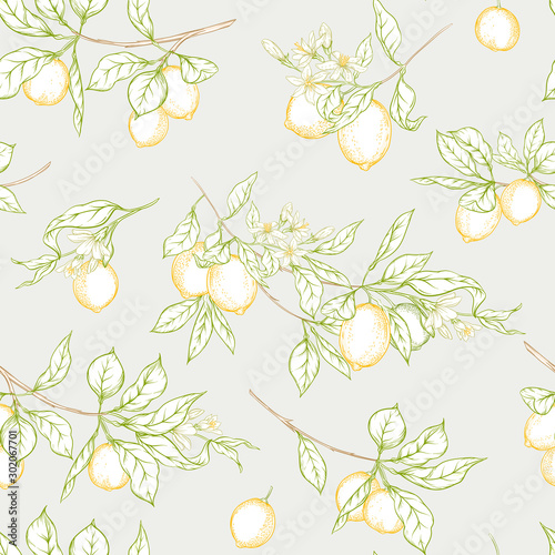 Lemon tree branch with lemons, flowers and leaves. Seamless pattern, background. Outline colored hand drawing vector illustration in soft colors on grey background..