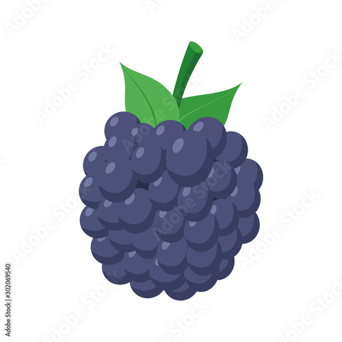 Vector illustration of a funny blackberry in cartoon style.