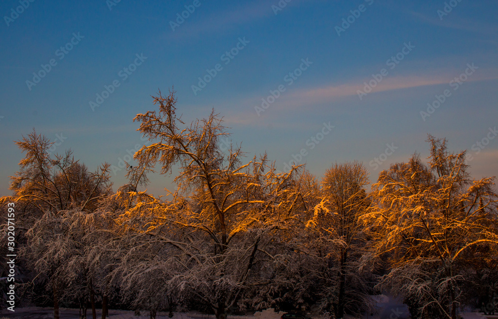 nice winter time nice winter time