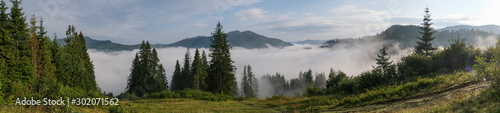 Misty landscape. Morning fog sunrise high in the Carpathian mountains. Ukraine. Panorama © vlamus