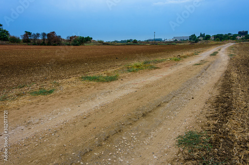 Empty plowed field after the harvest