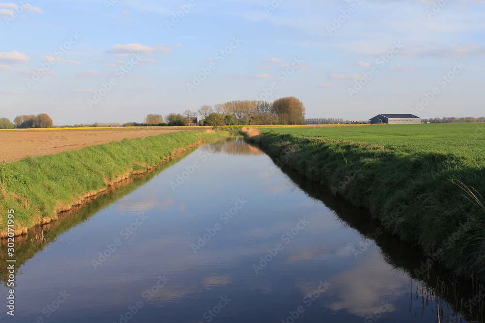 a broad ditch in the dutch countryside in springtime