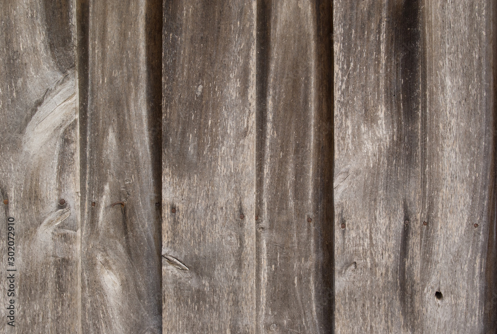 Naklejka premium Wall of wooden boards. Tree structure.