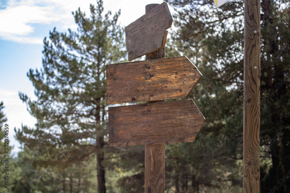 Naklejka premium Wooden signs in the forest