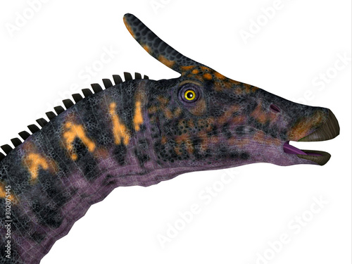 Saurolophus osborni Dinosaur Head - Saurolophus osborni was a Hadrosaur herbivorous dinosaur that lived in Asia and North America during the Cretaceous Period. photo