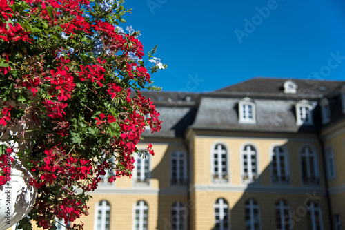 Blumen mit Karlsruher Schloss photo