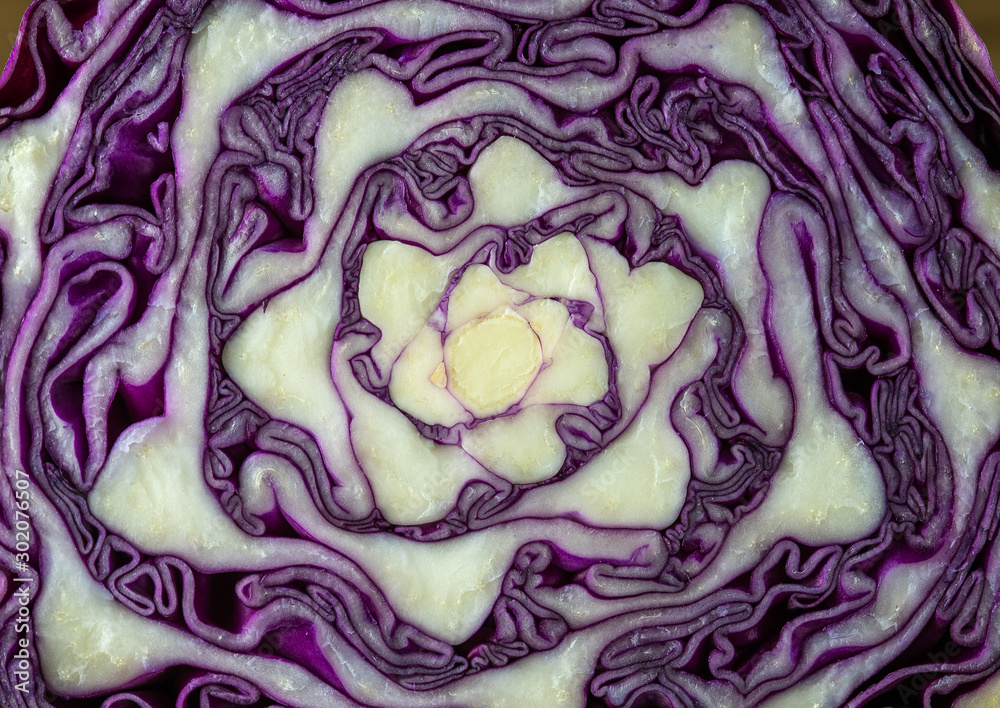 Obraz premium Red cabbage cut in half as a background