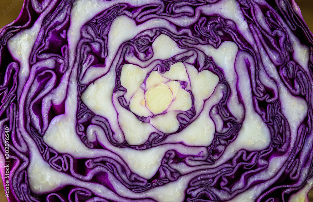 Obraz premium Red cabbage cut in half as a background2