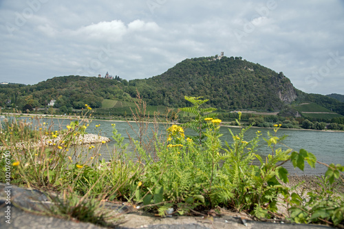 Rheinromatik im Siebengebirge mt Drachenfels  photo