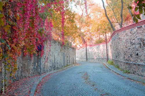 Deserted street with colorful tree foliage surrounded by high walls