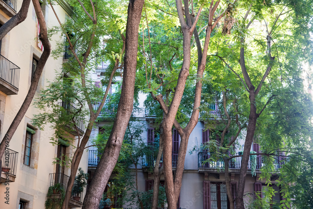 Fototapeta premium Park mit Bäumen in der Stadt
