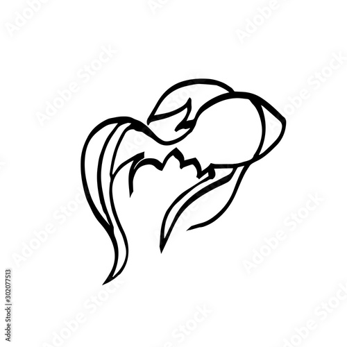 aquarium goldfish outline drawing with black pen. vector