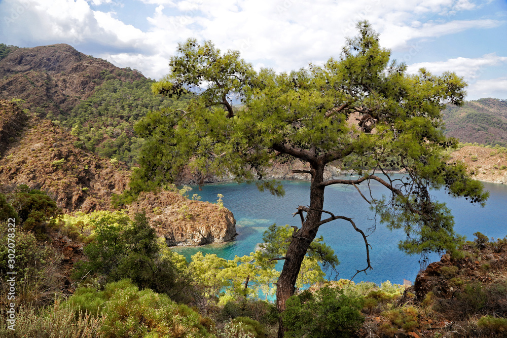 View of the bays of the Mediterranean Sea from the Lycian Way in Turkey.
