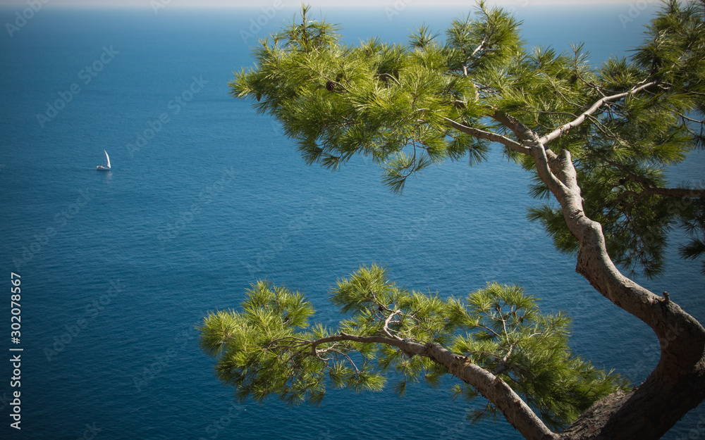 Paysage méditerranéen sur l'île de Capri Paysage méditerranéen sur l'île de Capri