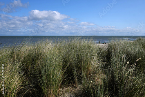 Fototapeta Naklejka Na Ścianę i Meble -  Hundestrand bei Schillig an der Nordsee im Nationalpark Wattenmeer mit hohem Gras auf Düne und Sandstrand - Stockfoto