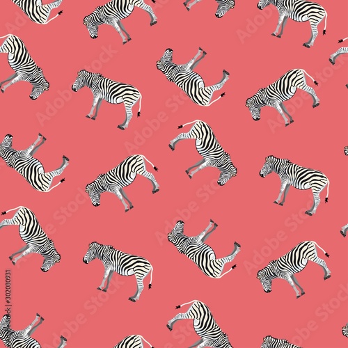 Seamless pattern  background with adult zebra. Realistic drawing  animalism. Illustration on bright background.