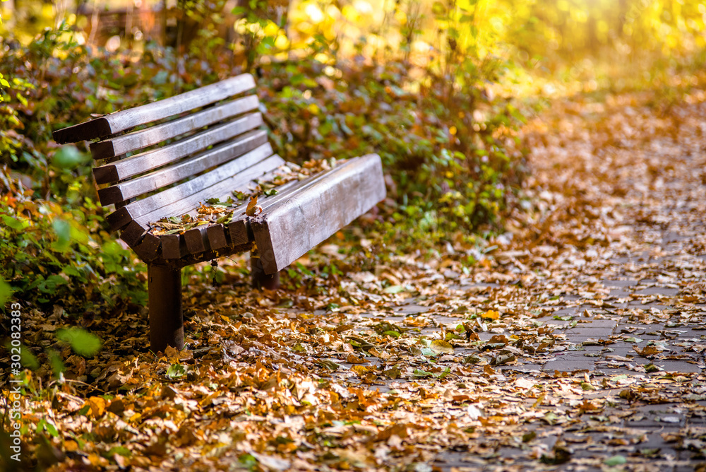Autumn background-bench in the city Park
