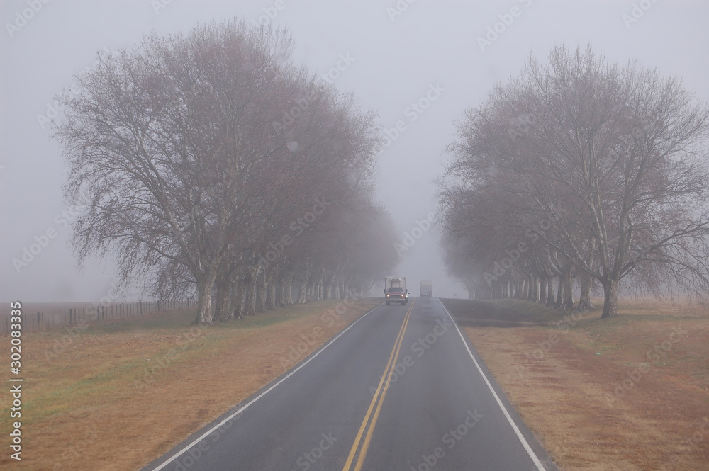 Fototapeta premium road in the fog