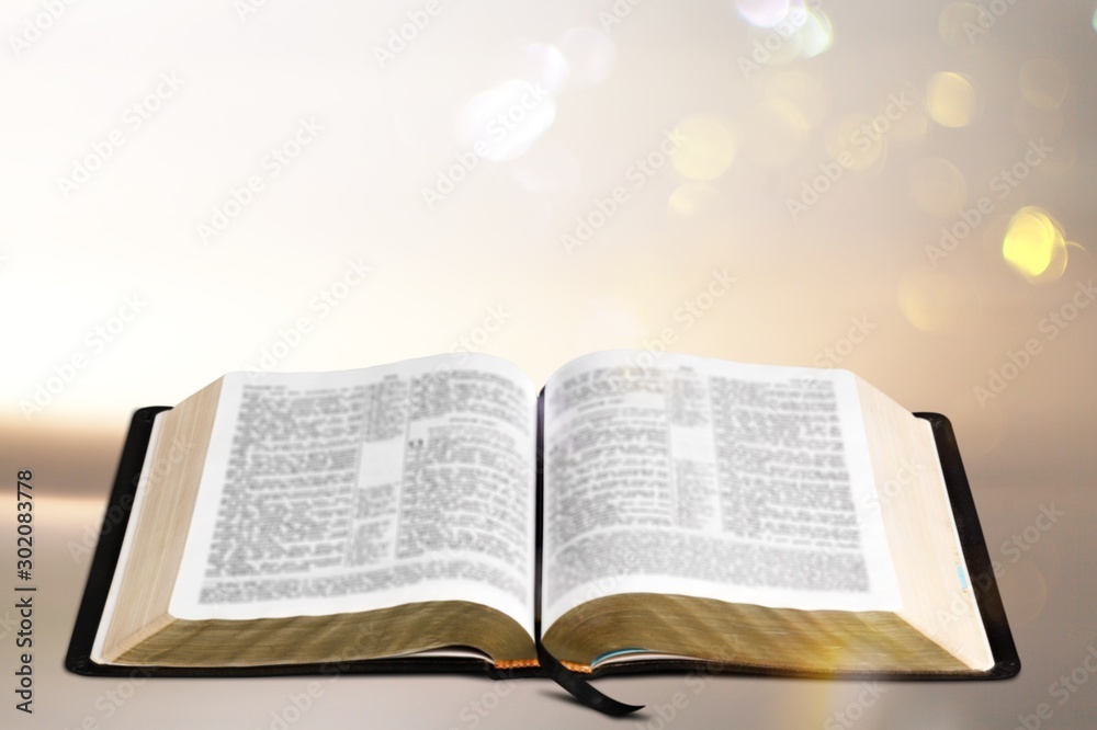 Obraz premium Opened big book isolated on white