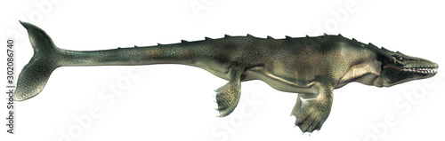 Obraz na płótnie An mosasaur shown in profile on a white background