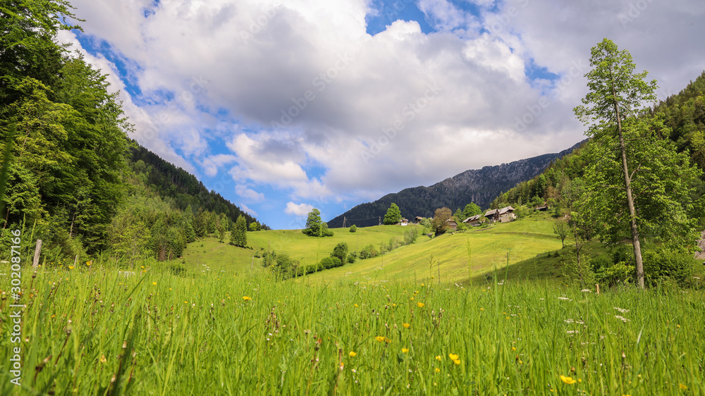 Slovenian Green Countryside Nature