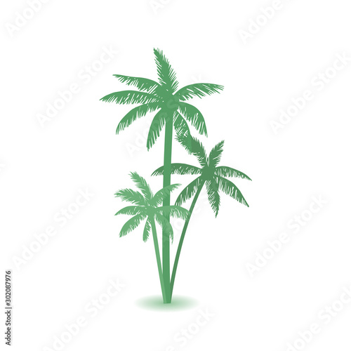 Palm tree icon. Simple illustration of palm tree vector icon.