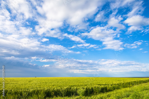 Farm field with blue sky and clouds in Oklahoma