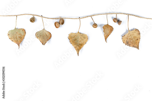 Close-up of autumn fallen leaves hang on a rope.