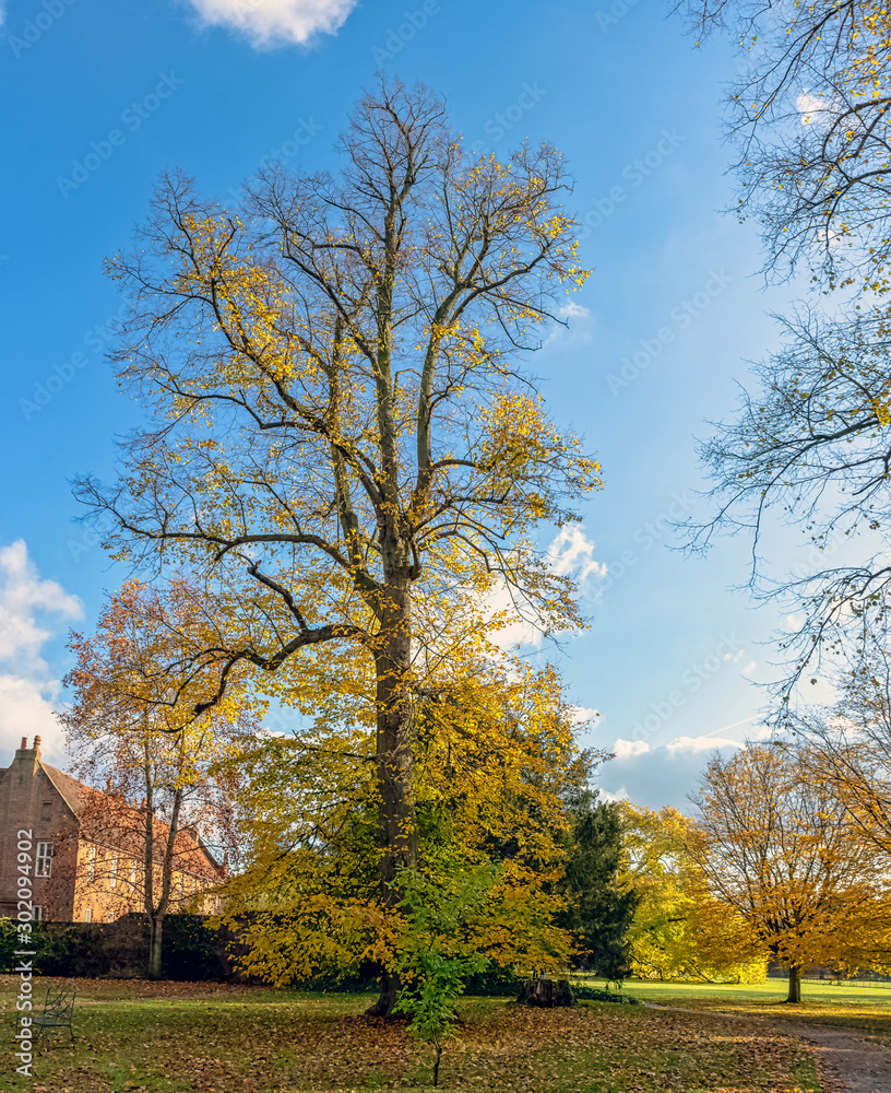 Autumn in British park - Osterley, Isleworth, London, United Kingdom