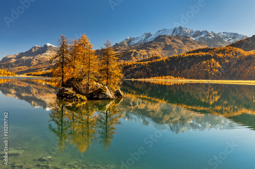 Herbst am Silser See mit seinen farbigen Lärchen im Engadin in der Schweiz photo