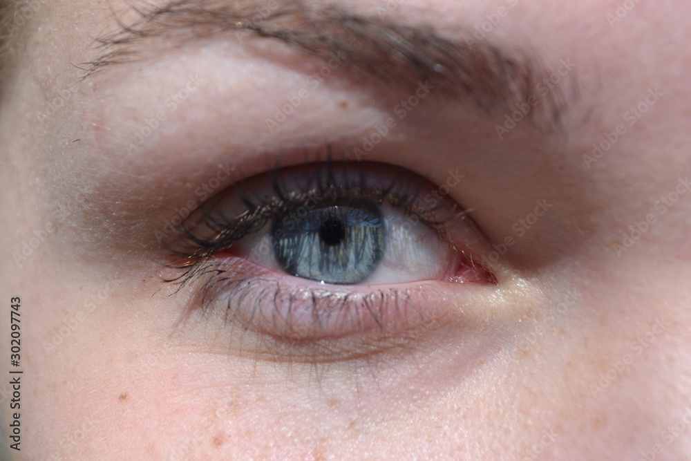 Obraz premium closeup of an eye