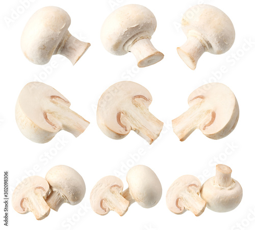 mushrooms isolated on a white background. Food